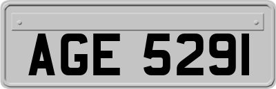 AGE5291