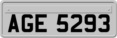 AGE5293