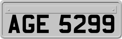 AGE5299