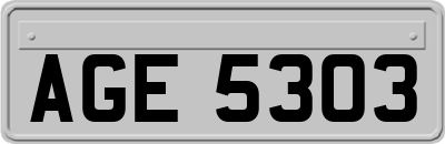AGE5303