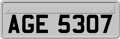 AGE5307