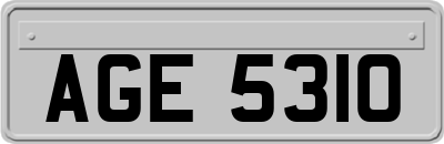AGE5310