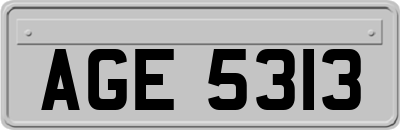 AGE5313