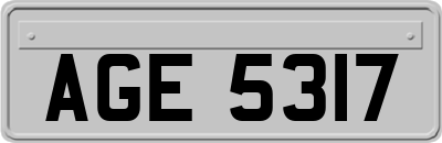 AGE5317