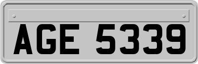 AGE5339