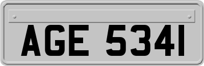 AGE5341
