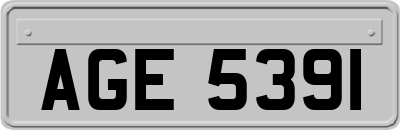 AGE5391