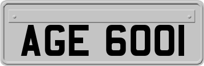 AGE6001