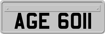 AGE6011
