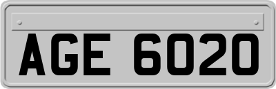 AGE6020