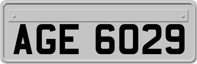 AGE6029