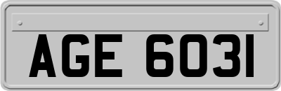 AGE6031