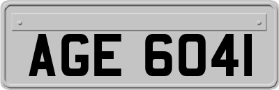 AGE6041