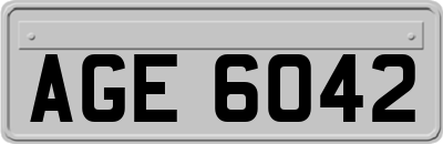 AGE6042