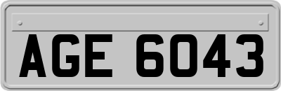 AGE6043