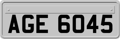 AGE6045