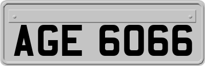 AGE6066