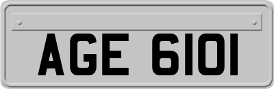AGE6101