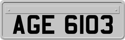AGE6103