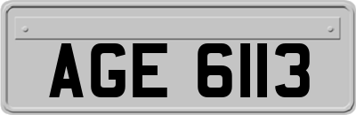 AGE6113