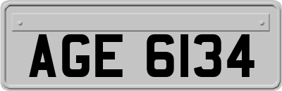 AGE6134