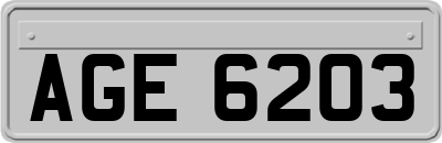 AGE6203