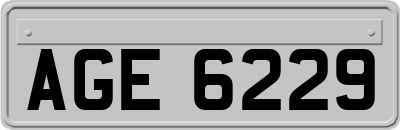AGE6229