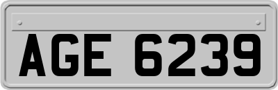 AGE6239