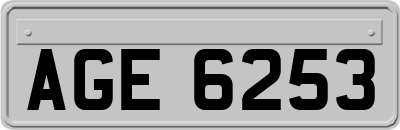 AGE6253