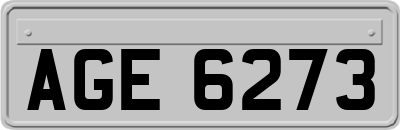 AGE6273