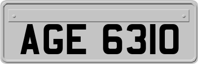 AGE6310