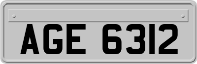 AGE6312