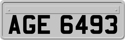 AGE6493