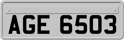 AGE6503