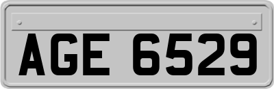 AGE6529