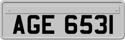 AGE6531