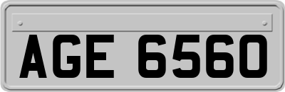 AGE6560
