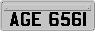 AGE6561