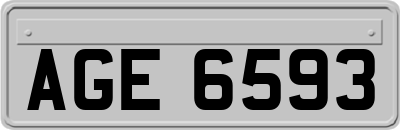 AGE6593