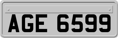 AGE6599