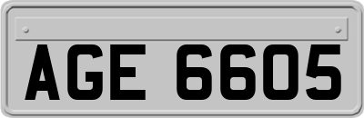 AGE6605