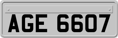 AGE6607