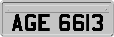 AGE6613