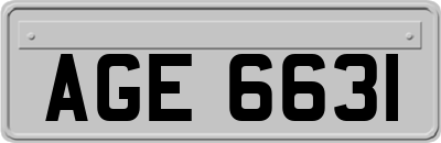 AGE6631
