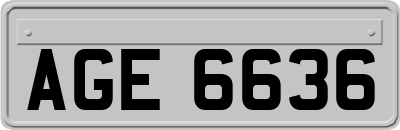 AGE6636