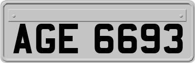 AGE6693