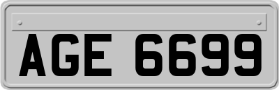 AGE6699