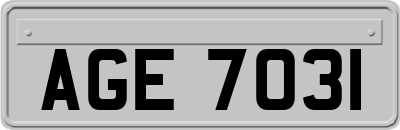 AGE7031
