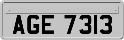 AGE7313