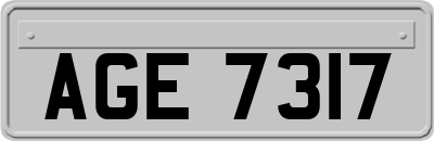 AGE7317